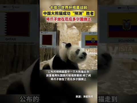 斯科夫妙传,助攻,马克西米利,九游娱乐平台,九游娱乐官方网站,九游娱乐登录入口,九游娱乐app下载