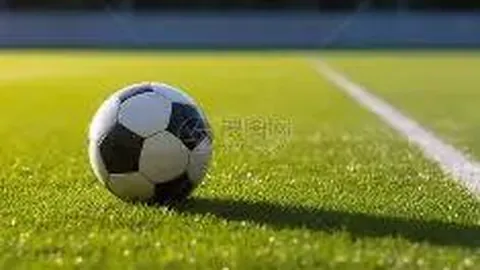 吉林市体育教师省赛佳绩连连，展现教学硬核风采